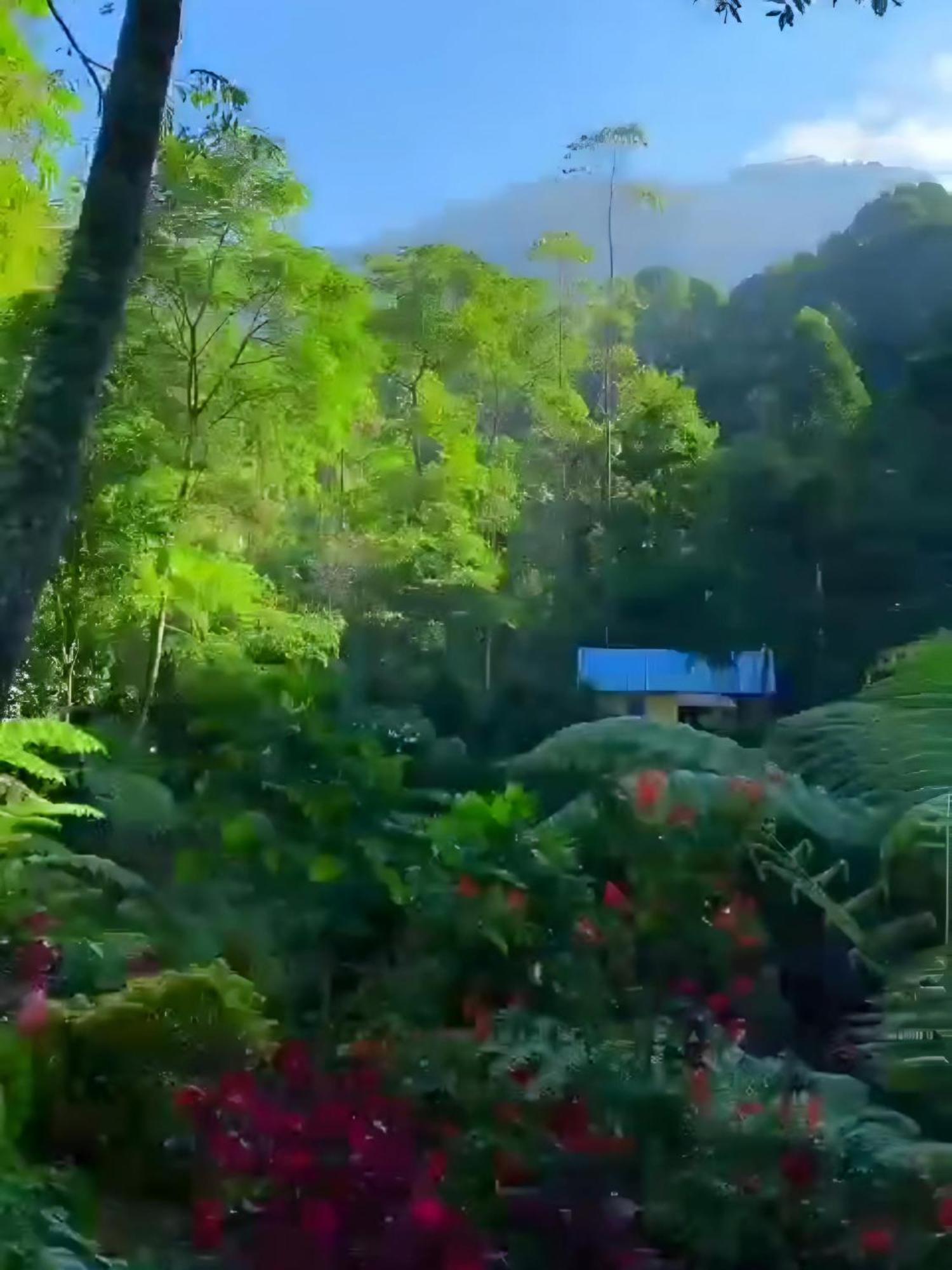 Penginapan Nuansa Riung Gunung Pangalengan Exterior foto